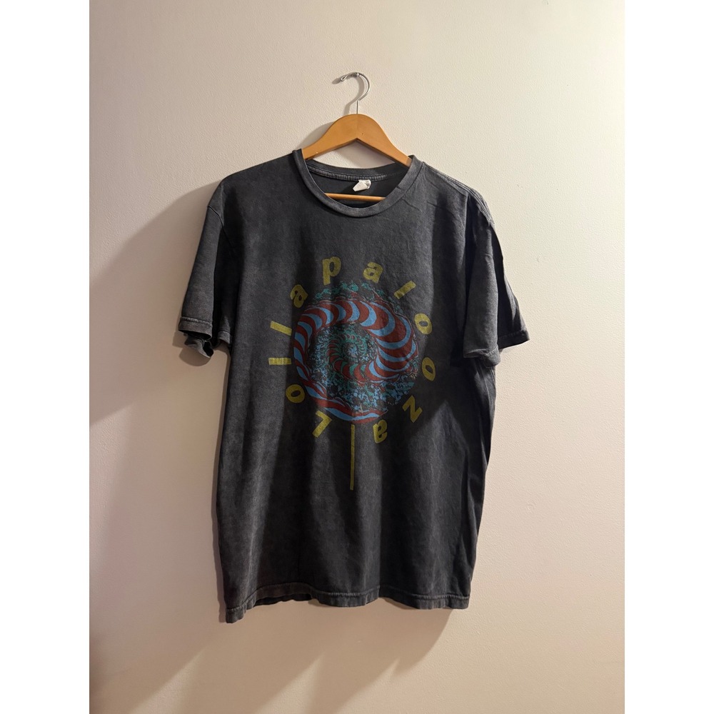 Lollapalooza 2024 Festival Lineup Graphic T-Shirt Mens Large Charcoal Wash
